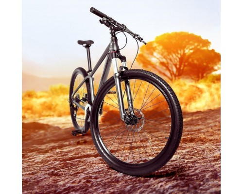 Xiaomi QiCycle Mountain Bike XC650 17 Telefon.kg